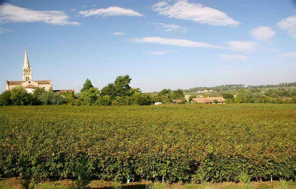 Les vignes qui entourent le Château de Lantic